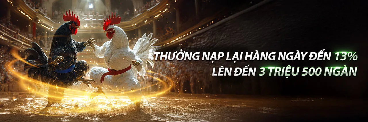 Đá gà trực tuyến 79king 1