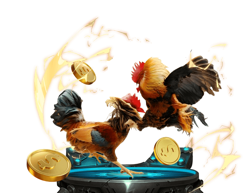 Sảnh đá gà SV388 với các trận đấu gà cựa sắt trực tiếp